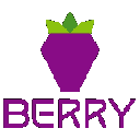 Berry Data icon