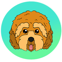 Cockapoo icon