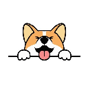 Corgidoge icon