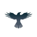 Raven Protocol icon