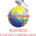 ANV icon