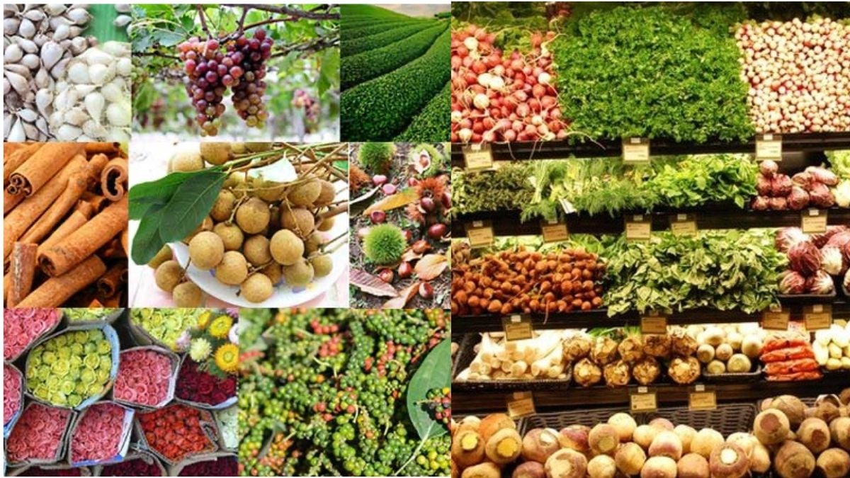 Vietnam’s national brand needs stronger internal capacity to reach global prominence.