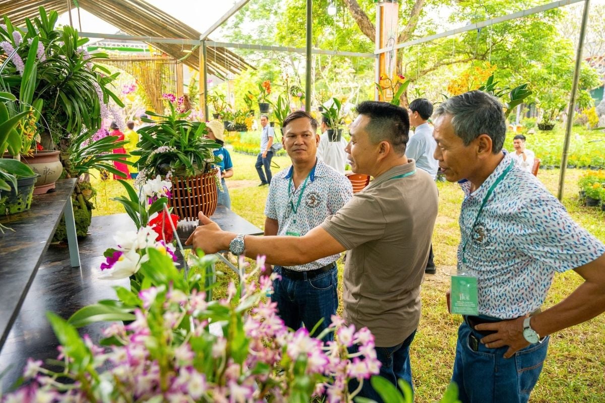 Hue Festival 2026 features orchid and bonsai exhibition inside the Imperial City