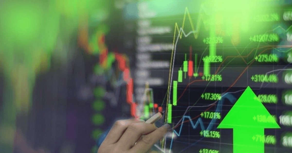 Concentration in Vin-family large-cap stocks lifts VN-Index while most investors lose money