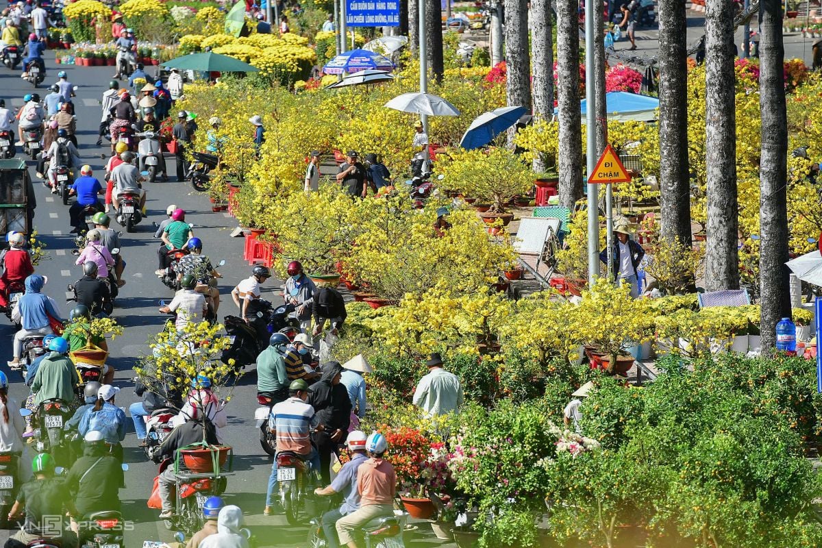 Ho Chi Minh City flower markets discount prices ahead of Tet, drawing crowds