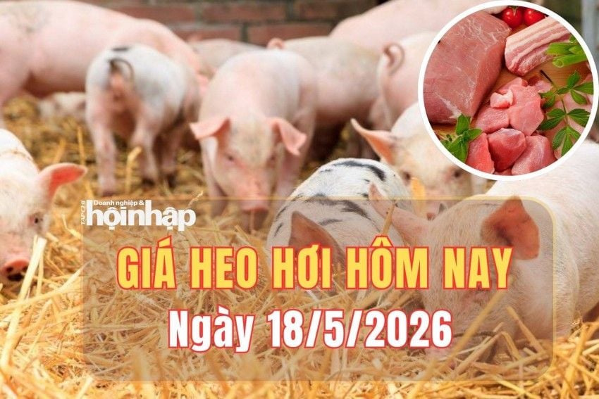 Giá heo hơi hôm nay 18-5: Thị trường giảm nhẹ tại Đồng Nai