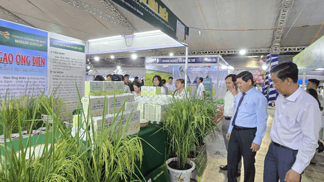 Ca Mau strengthens linkages to raise the value of rice grains
