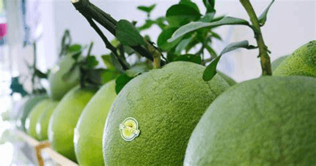 Vietnamese pomelo exports to Australia pave the way for a $10 billion export target