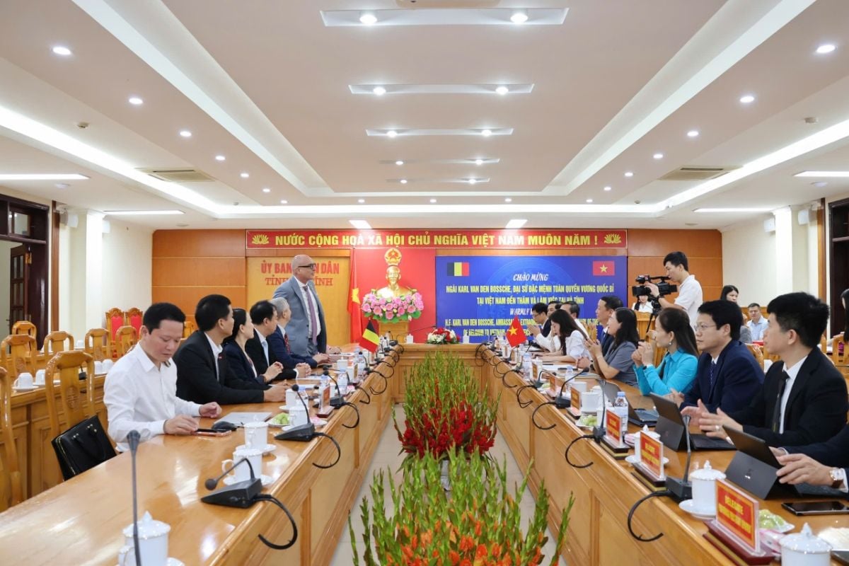 Ha Tinh Advances Cooperation with Belgian Enterprises