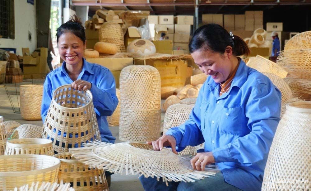 Nghệ An: Các hợp tác xã chuyển từ gia công sang tham gia trực tiếp vào chuỗi xuất khẩu