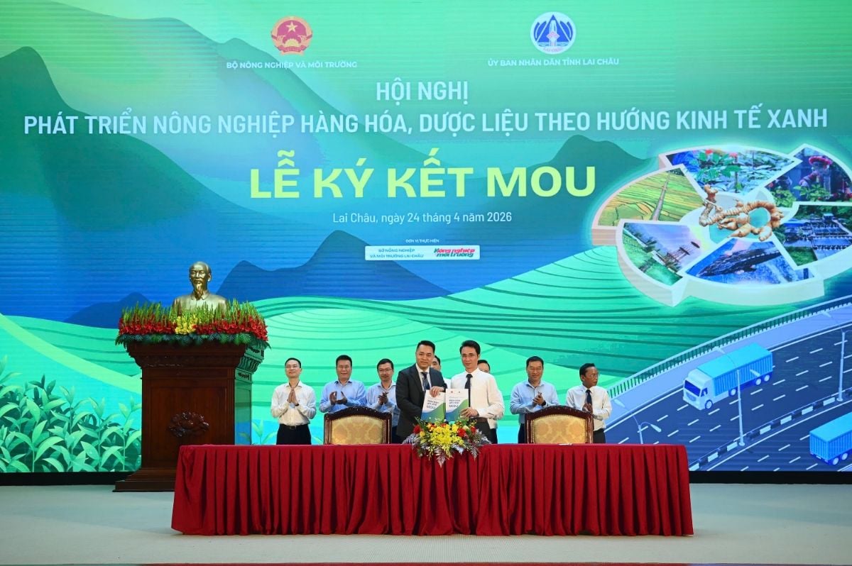 Investment Agreements Mark a Milestone in Lai Châu's Green Agriculture Development