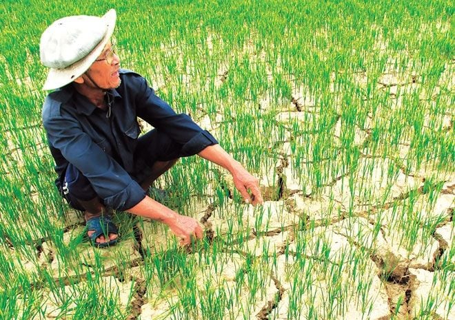 El Niño may cause water shortages from mid-2026, according to Vietnam's Ministry of Agriculture and Environment