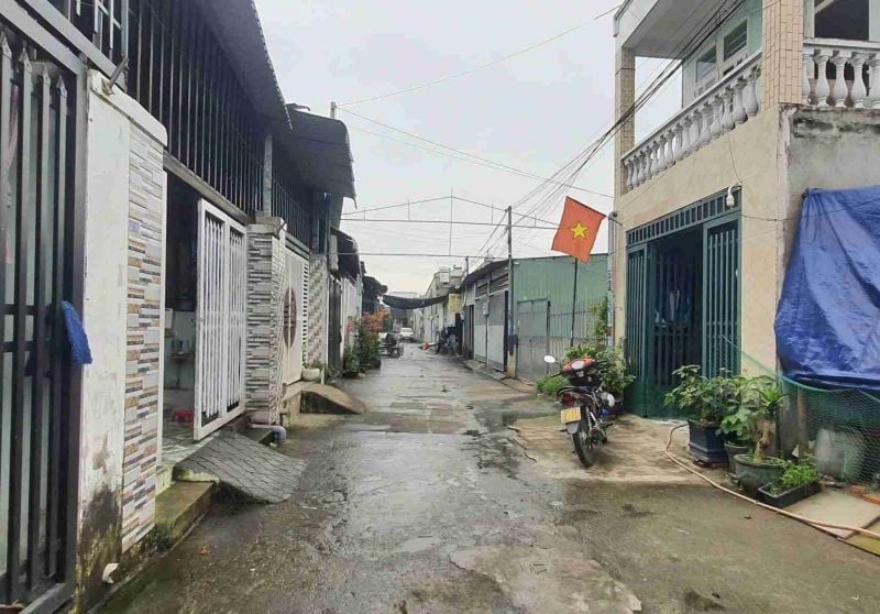 Prosecution and detention of suspect for fraud over construction of 48 houses on land owned by others