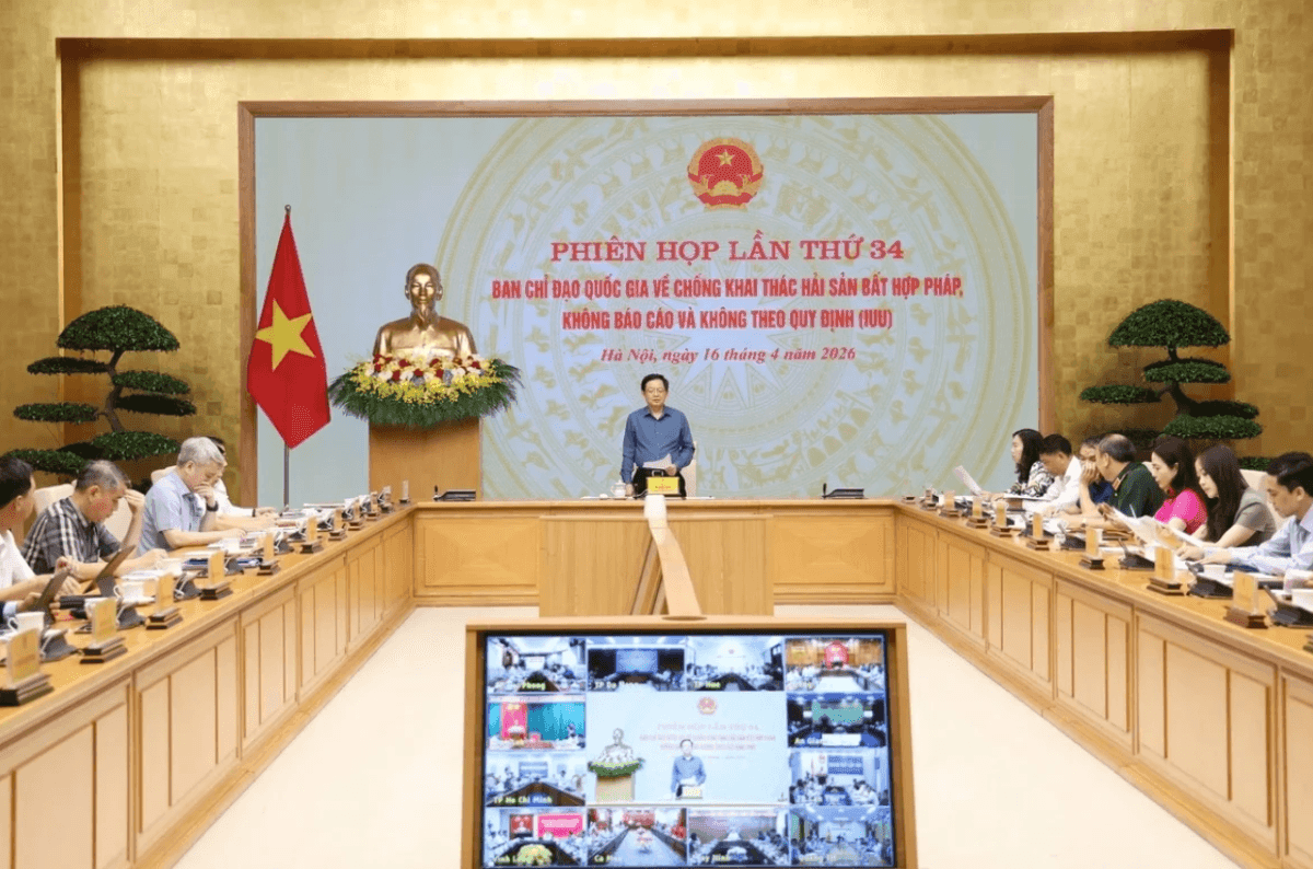 Government to intensify enforcement to lift EU IUU yellow card on Vietnamese fisheries