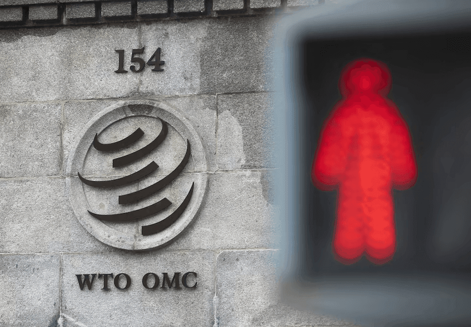 US and 19 WTO members reach agreement not to impose tariffs on cross-border digital data and content