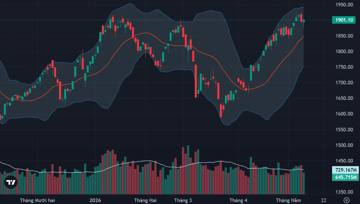 Mid-cap stocks rise; VN-Index reverses course to close higher