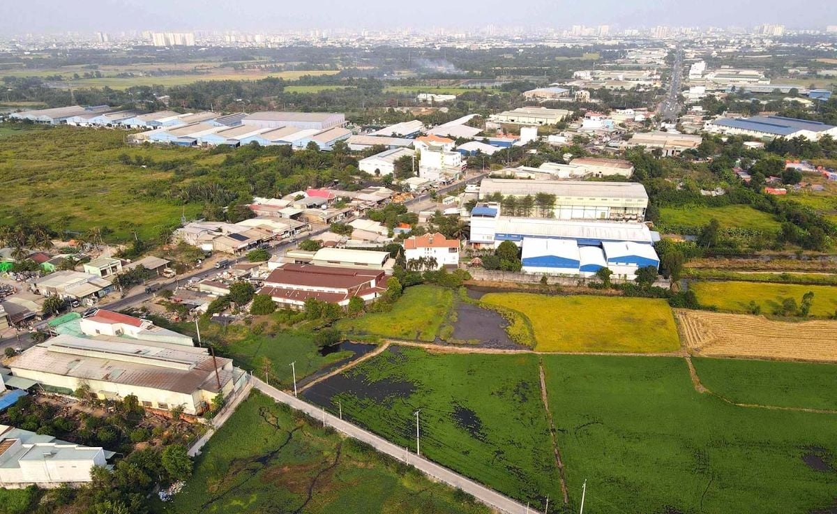 Ho Chi Minh City launches 60-day push to complete cadastral data and land records