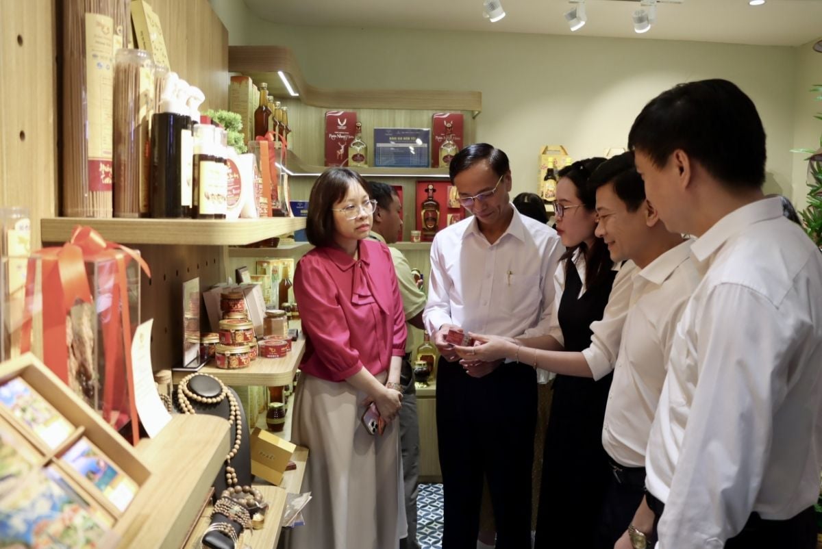 Hà Tĩnh specialty brands showcased in Hanoi during the Week of Hà Tĩnh Products (April 23–26, 2026)