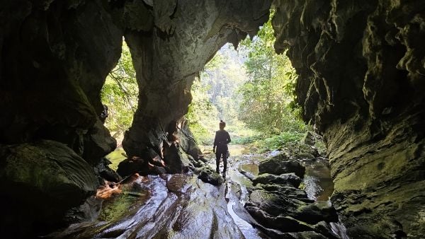 New caverns discovered in Phong Nha-Kẻ Bàng National Park
