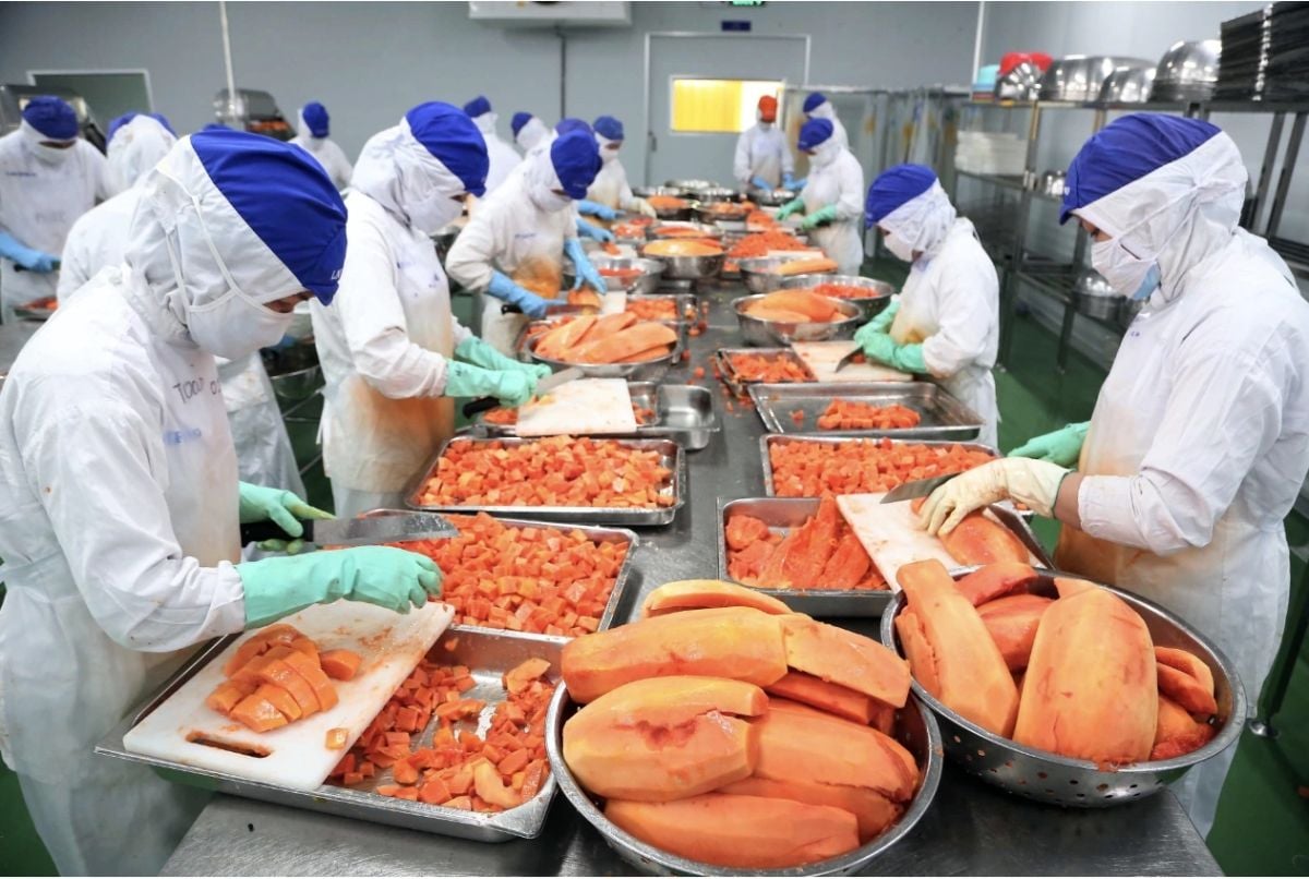 Exports to the United Kingdom: Moving from a selling mindset to investing in market development