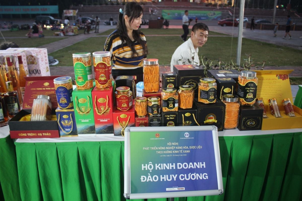 Lai Châu OCOP program reinforces branding of highland agricultural products in Northwest Vietnam