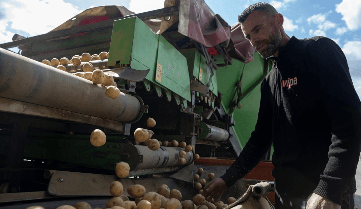 European potato futures surge amid US–Iran tensions