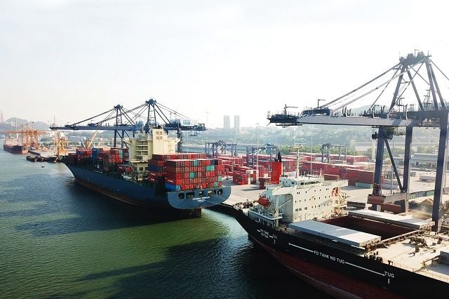 After real estate and energy, Bau Hien's T&T Group accelerates its push in logistics