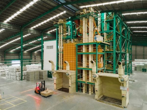 Greenfeed posts 2025 net profit after tax of VND 3,657 billion, up 74%