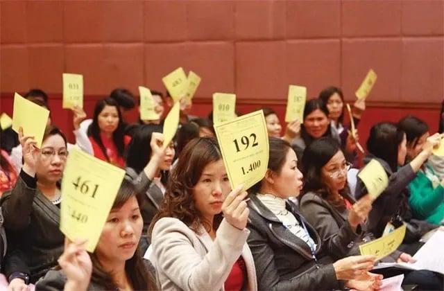 Many Vietnamese companies publish AGM documents sparsely, with last-minute amendments near the meeting date