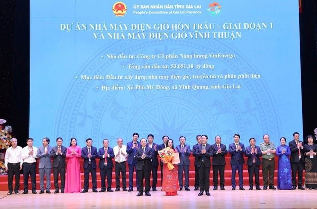 Pham Nhat Vuong plans an $8 billion wind-power plant cluster in Gia Lai