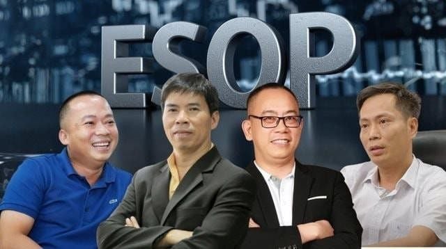 MWG trims 2025 ESOP to 0.5% as market remains aggressive, says CEO