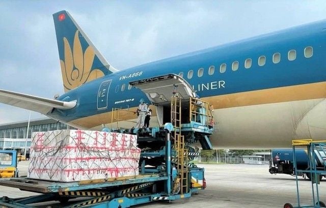 Saigon Cargo Services (SCSC) reports Q1 net income growth; plans to deposit around VND 1.5 trillion in banks