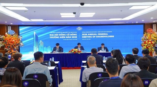 Vinaconex CEO: We hope for a higher stock price and that it should not fluctuate like this