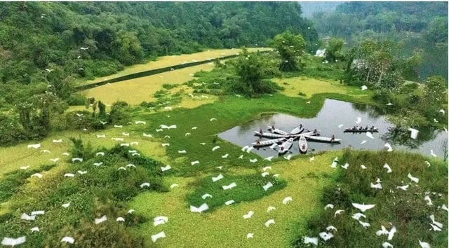 Truth about the Thung Nham Bird Garden transfer: no sale for millions of USD