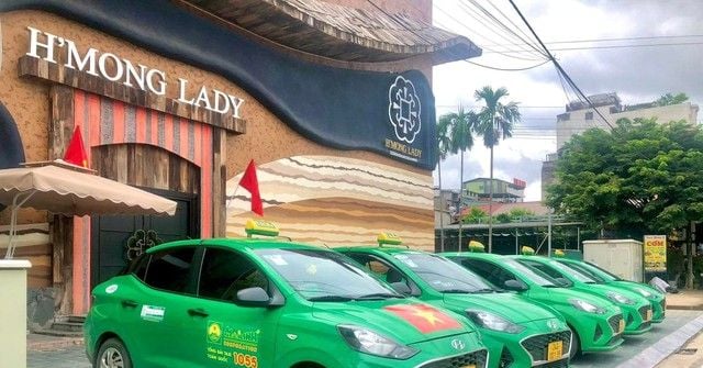 Nam A Bank to Seize Five VinFast VF5 Plus Vehicles Used as Collateral by Mai Linh Lao Cai Taxi