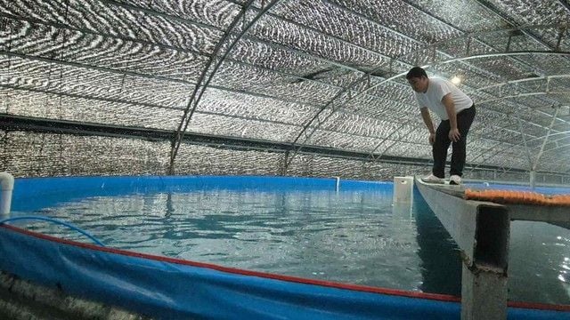 Onshore tuna farming using advanced technology from Vietnam's Tan Long Group and a Japan-Korea alliance