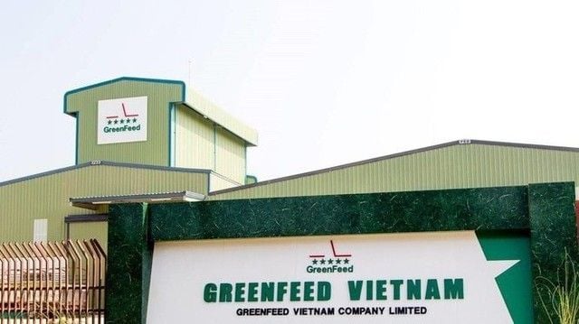 GreenFeed Vietnam posts record net profit of over VND 10 billion per day in fiscal year 2025