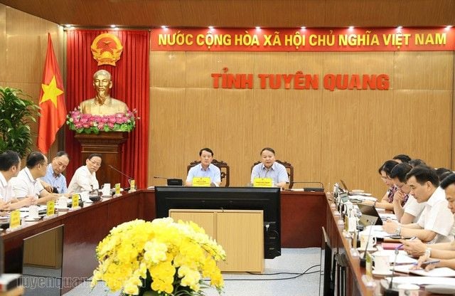 Geleximco và Vũ Văn Tiền lên kế hoạch đầu tư 7,8 nghìn tỷ đồng để phát triển chăn nuôi lợn và trồng chè tại Tuyên Quang