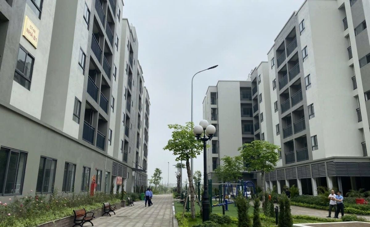 Social housing supply accelerates with nearly 37,000 units started