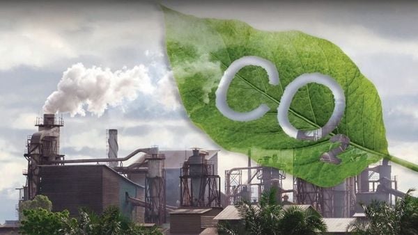 Carbon Market: A Tool for Green Transformation and Emissions Reduction