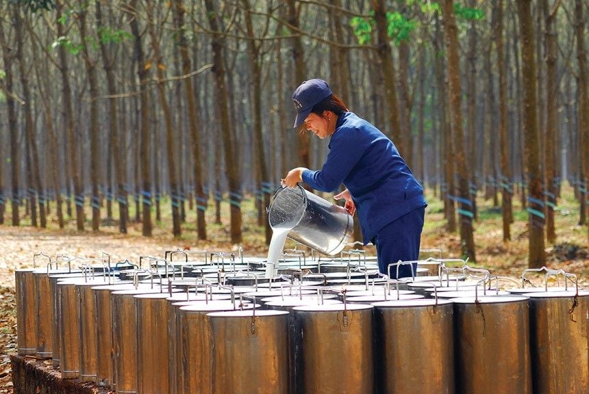 Cổ phiếu cao su tăng nhiệt, dòng tiền đổ mạnh vào nhóm ngành hưởng lợi kép