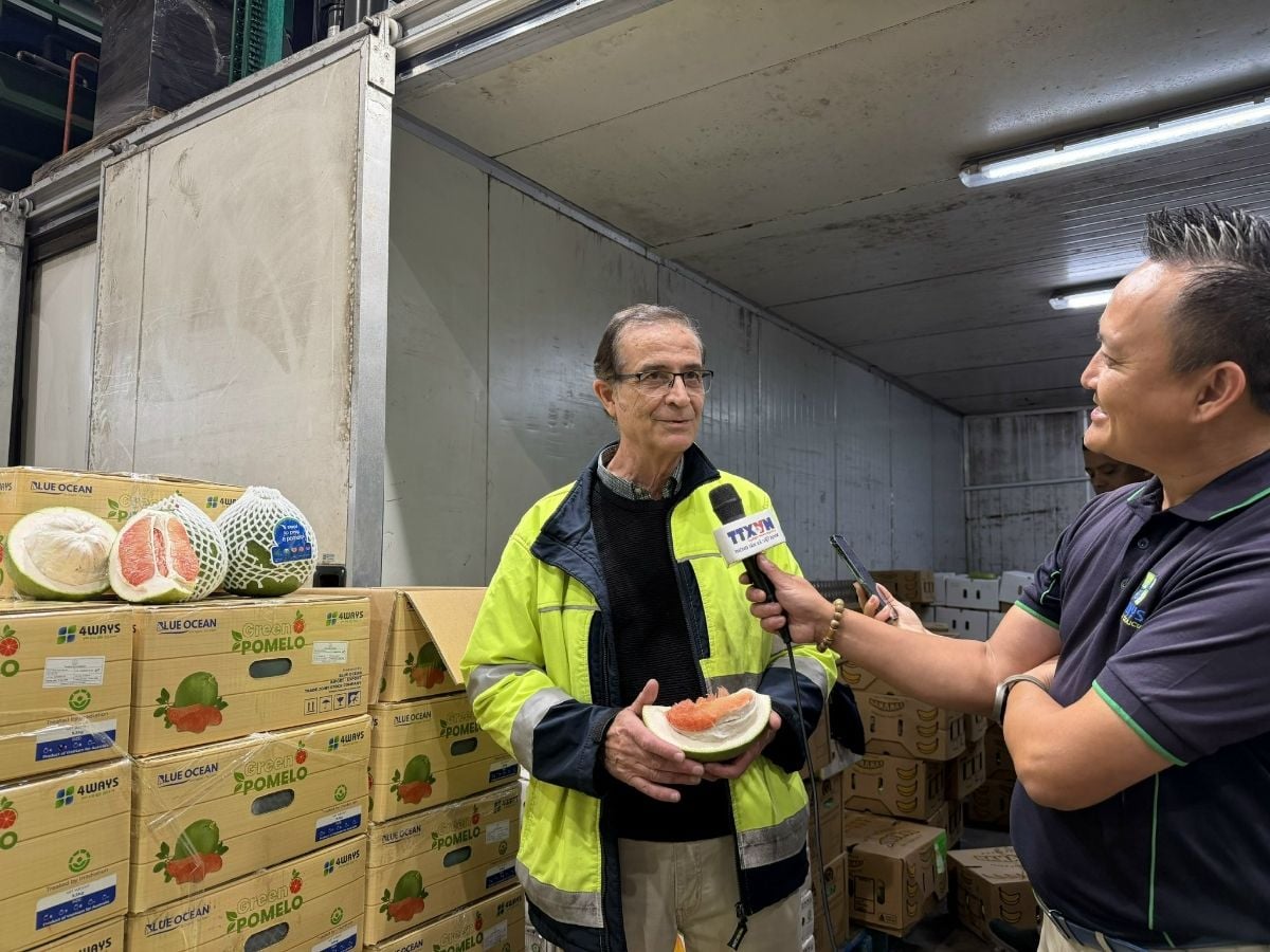 Vietnam Successfully Exports the First Fresh Grapefruit Batch to Australia