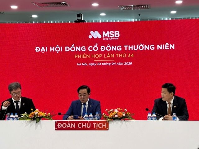 MSB to pay stock dividends over cash dividend amid strong liquidity, says CEO
