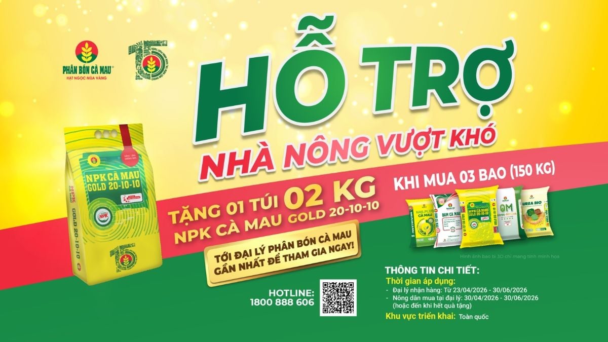 Phân bón Cà Mau hỗ trợ nông dân giữa mùa vụ khó khăn trong quý 2 năm 2026