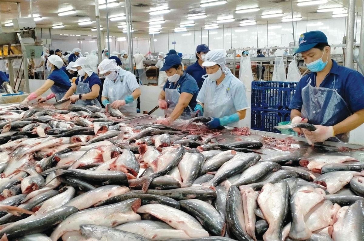 VASEP urges removal of barriers to reach $12 billion in seafood exports in 2026