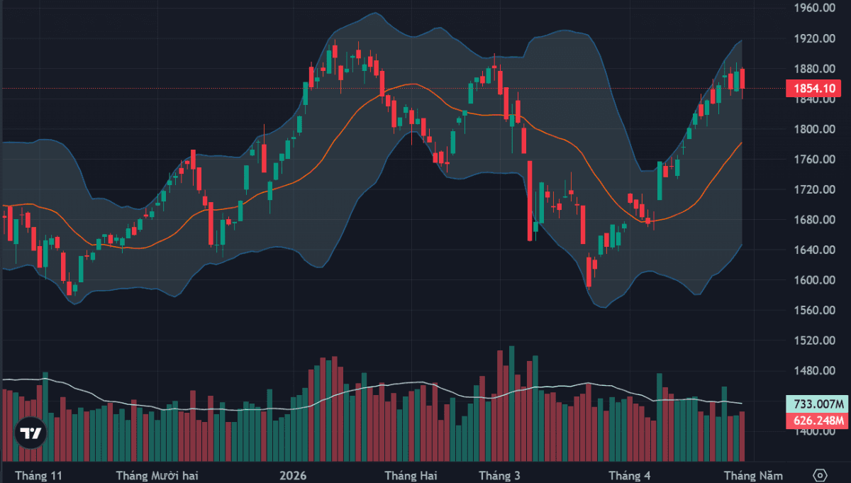 Bottom-fishing demand strengthens in the mid- and small-cap stock group