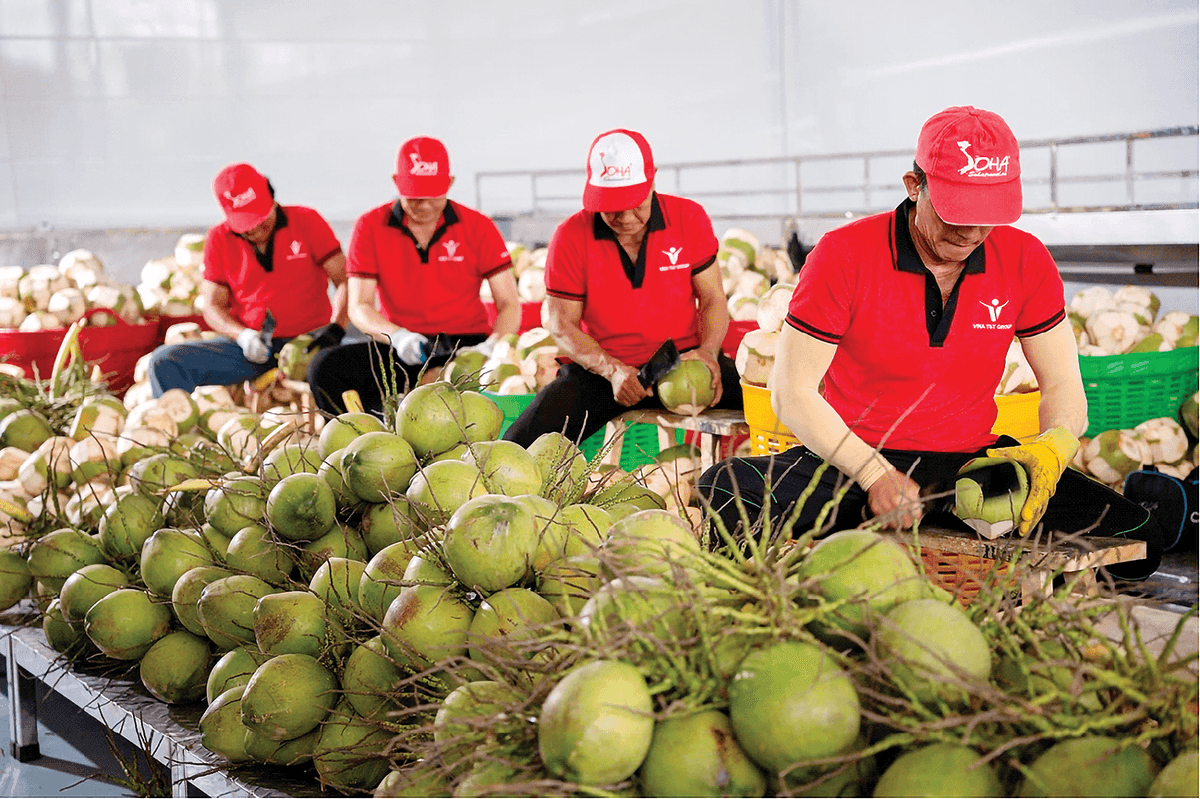 Vietnam's fruit and vegetable exports target $10 billion in 2026 as green production and deep processing drive growth