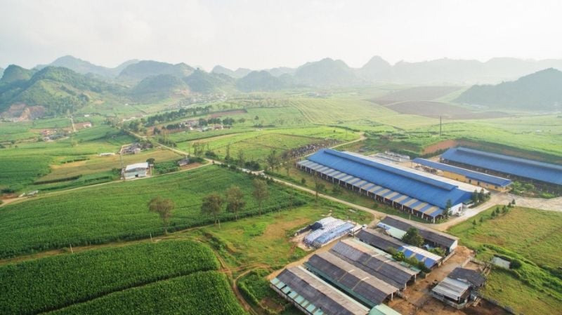 Mộc Châu Milk duy trì kế hoạch 2026 ở mức thận trọng bất chấp kết quả Q1 2026 mạnh nhất trong chín quý