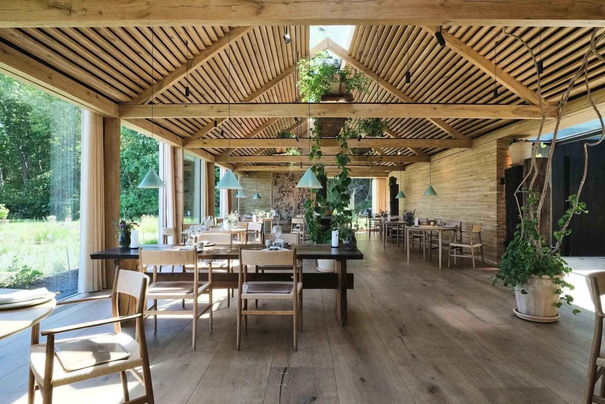 The Sustainability Paradox Behind a 3-Michelin-Star Restaurant: Labor Practices and the Economics of Noma