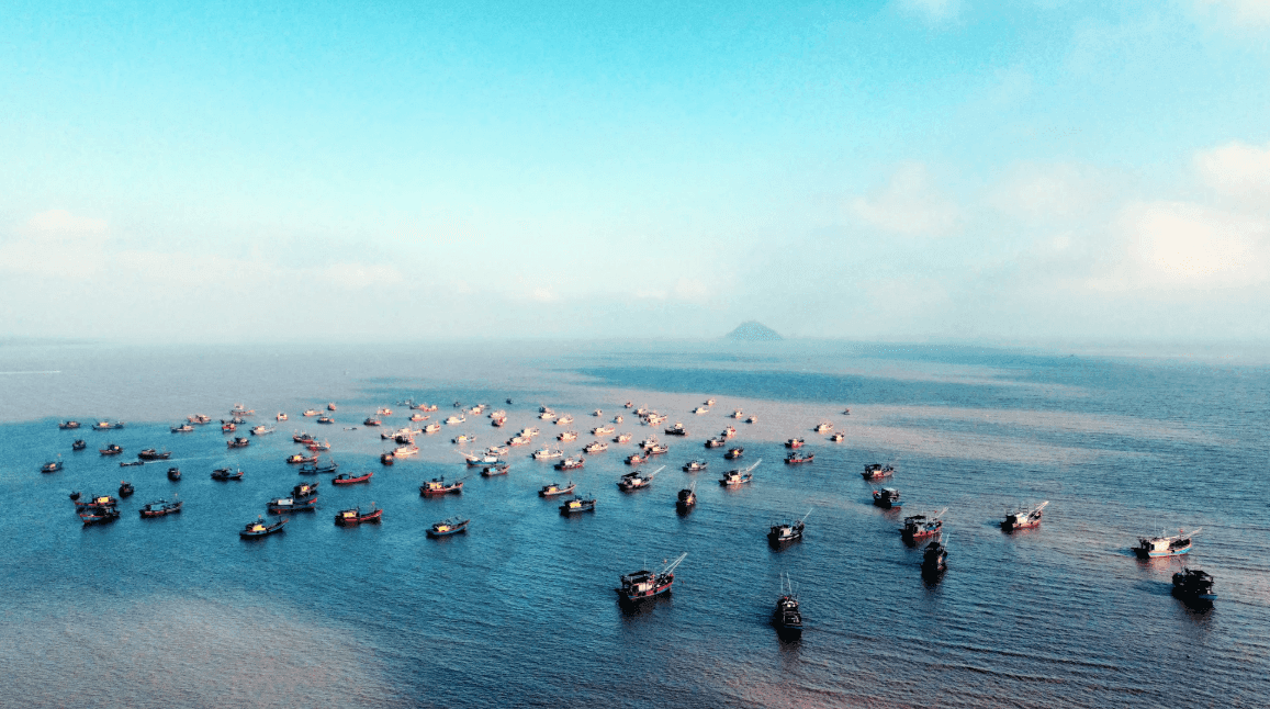 Fisheries as a key economic sector in Thanh Hóa at the Gulf of Tonkin's core fishing grounds